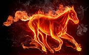 Animal Wallpapers (animal wallpapers fire horse computer background)