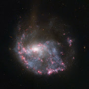 Bright pink nebulae almost completely encircle a spiral galaxy in this .