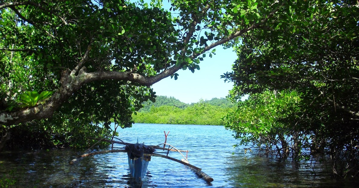 Halmahera Hijau Strategi Pengelolaan Kawasan Hutan 