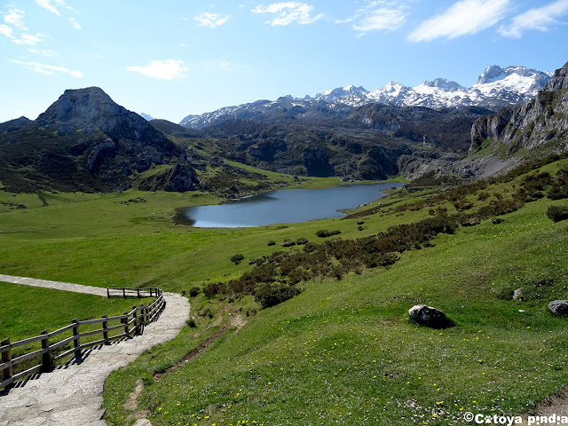 Terminamos ruta en el Lago la Ercina.