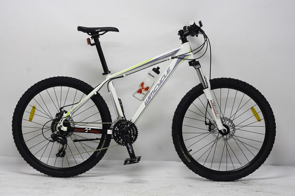 Serba sepeda 2019 MTB 26 Wim Cycle Hotrod