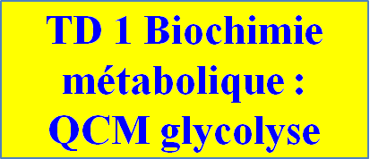 TD Corrigé de Biochimie métabolique ~ Etudes des sciences 