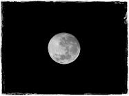 cinco lunas dedicadas