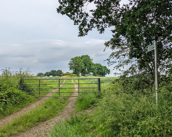 Flamstead footpath 44 heading NE