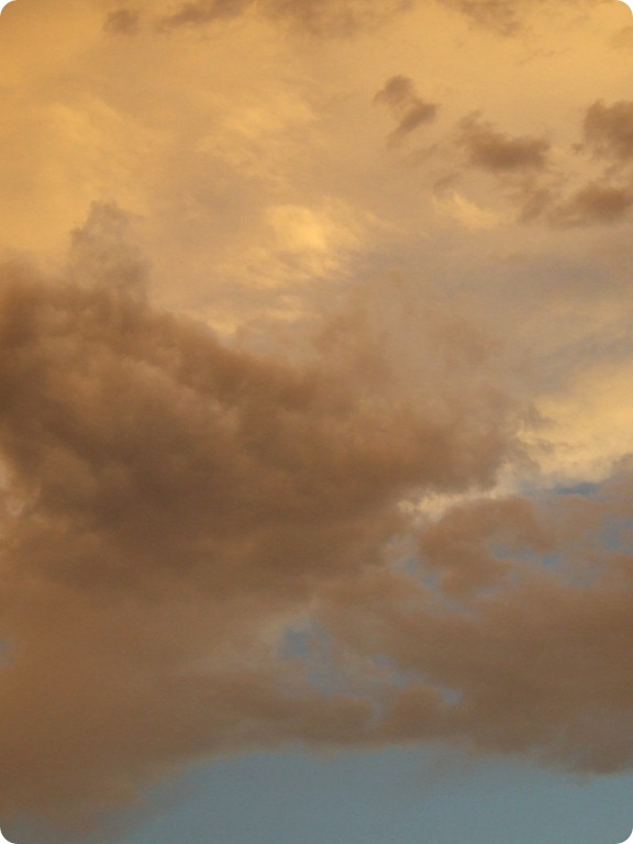 sky6