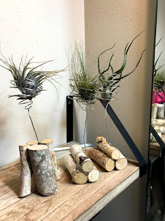 air plant stand