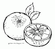 42+ Gambar Buah Jeruk Hitam Putih, Baru!