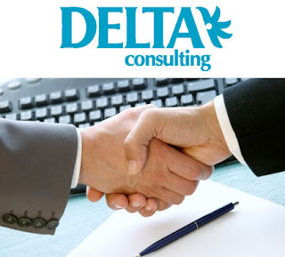 Delta Consulting