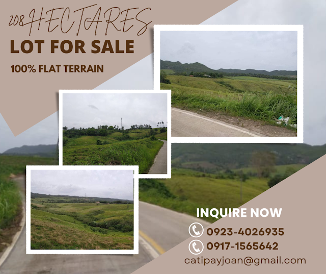 Affordable 208 Hectares Lot in Tabogon Cebu North