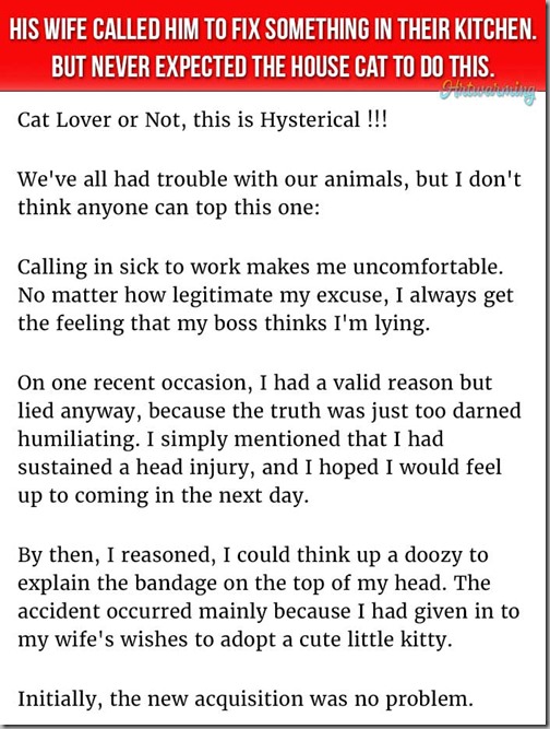under the sink p1
