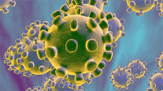 Coronavirus Attaract on human
