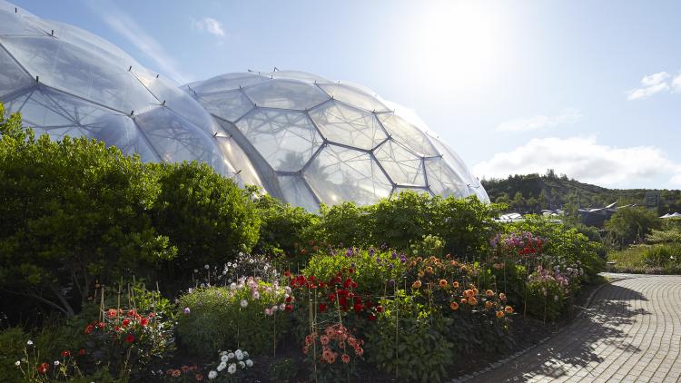 The Eden Project