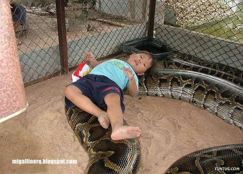 xcserpiente (7)