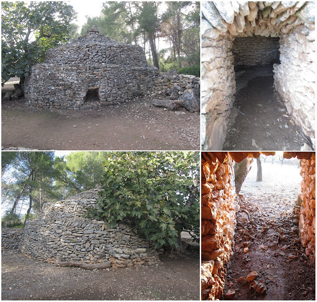 Prenafeta a Santes Creus GR-175 Ruta del Cister, Barraca de Ca l'Augé al Pla de Santa Maria - Alt Camp