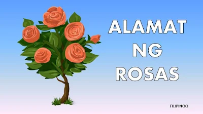 Ang Alamat ng Rosas