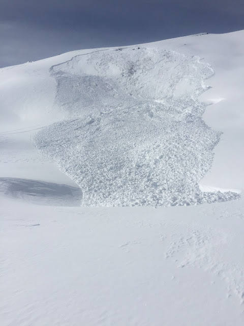 Valanga a lastroni poco distante dal sito dove è stato rilevato il profilo della neve sotto le placche del Piz Dals Corvs in Val di Roja. (Foto: Martin Hohenegger, 17 marzo 2023)