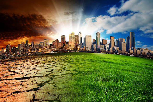 The Reality of Global Warming: What You Need to Know