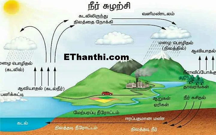 காணாமல் போகும் கடல்நீர்... குழப்பத்தில் ஆராய்ச்சியாளர்கள் !