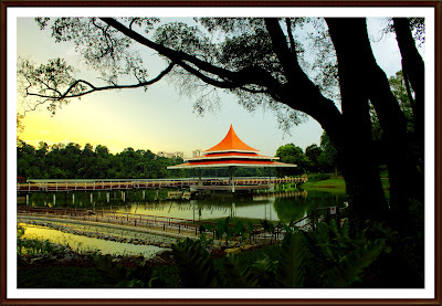 Singapore MacRitchie Reservoir Park-priyamudanprabu