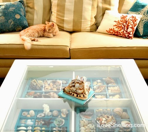 With a coffee display table you can enjoy your collections while 