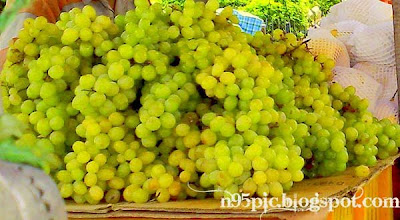 juicy grapes