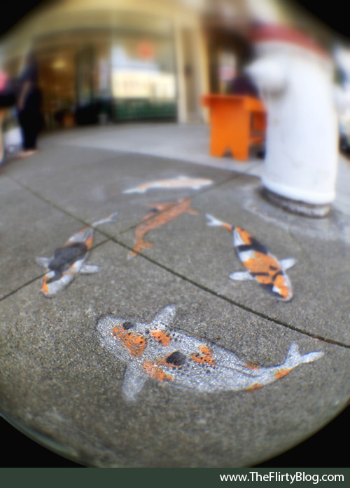 a local street artist who has painted over 2000 koi in San Francisco