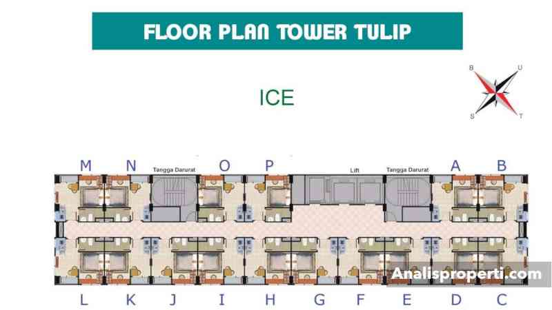 Denah Layout Apartemen B Residence Tower Tulip