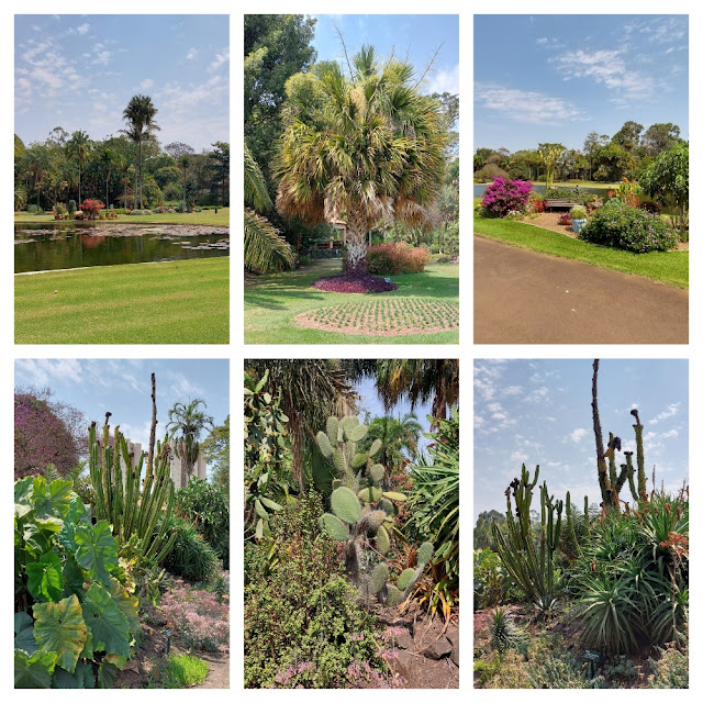 Jardim Botânico Plantarum em Nova Odessa (SP), na região de Campinas