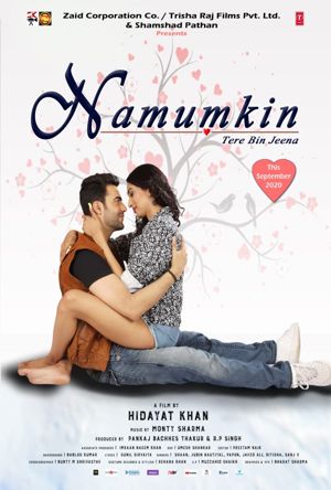 Namumkin Tere Bin Jeena (2020) Full movie download 720p / 1080p