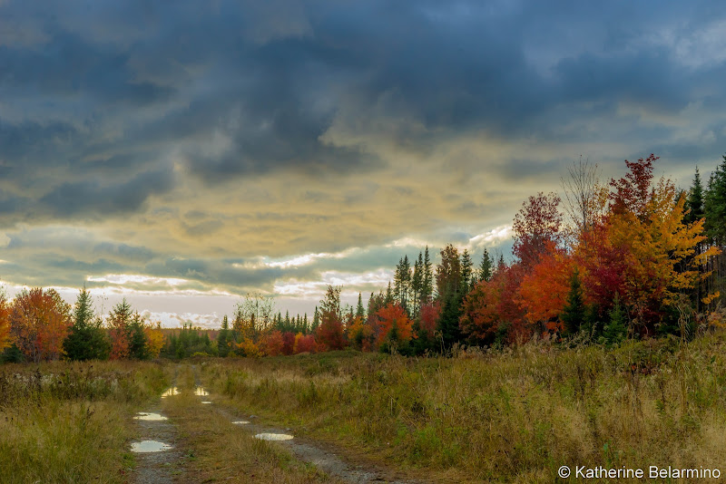 Backroad Things to Do in Moosehead Lake Maine