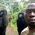 El hombre de la "Gorila-selfi" cuenta cómo hizo la mágica foto