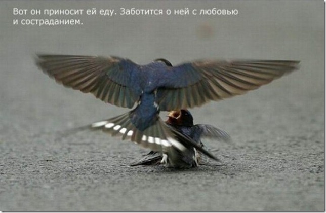 clip_image002