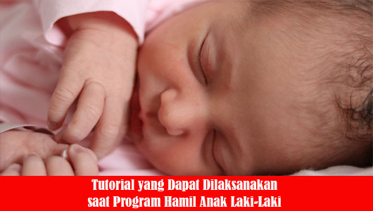 Tutorial yang Dapat Dilaksanakan saat Program Hamil Anak Laki-Laki