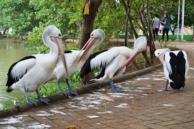 akcayatour, Kebun Binatang Tinjomoyo, Travel Malang Semarang, Travel Semarang Malang, Wisata Semarang