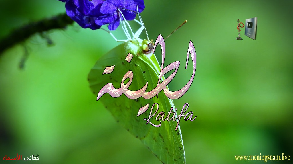 معنى اسم, لطيفة, وصفات, حاملة, هذا الاسم, Latifa,