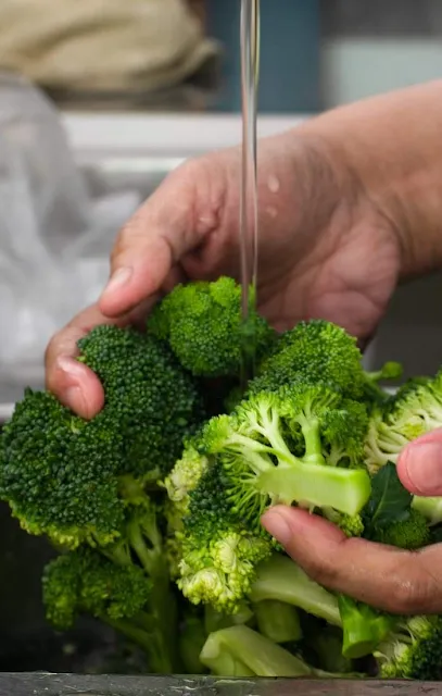 washing broccoli florets photo