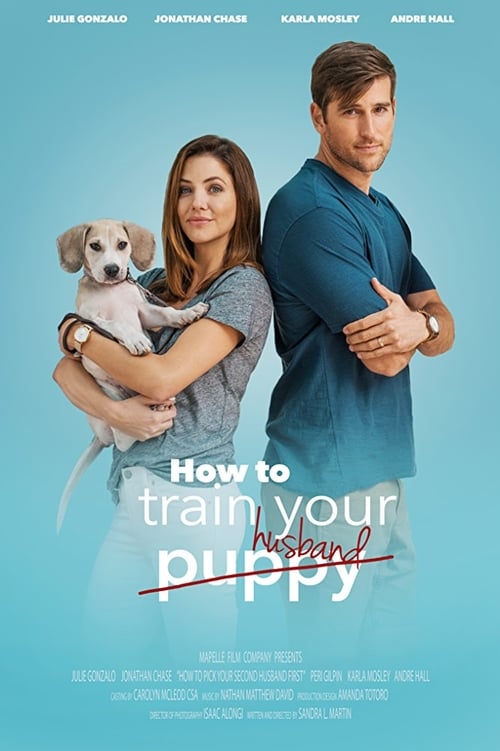 [HD] How to Train Your Husband 2018 Assistir Online Dublado
