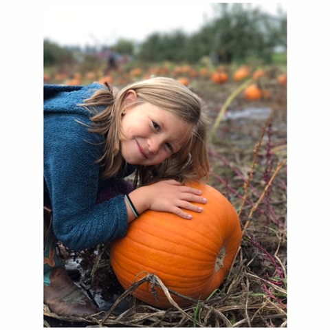 pumpkin picking at Lapacek's Orchard