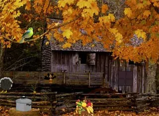 Juegos de Escape - Mysterious Turkey Forest Escape