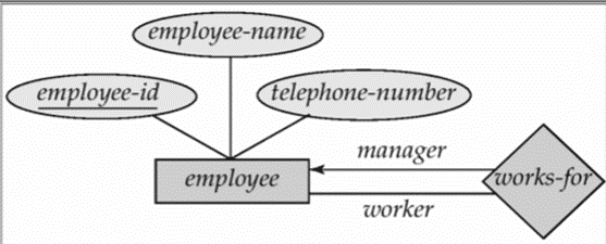  Roles in E-R Diagrams in DBMS