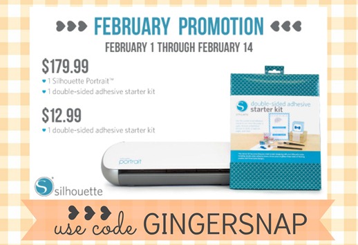 #Silhouette February 2013 promotion