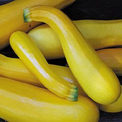 Golden Zucchini