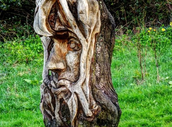 tree woods carving totem