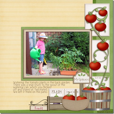 SnS-Tomatoes