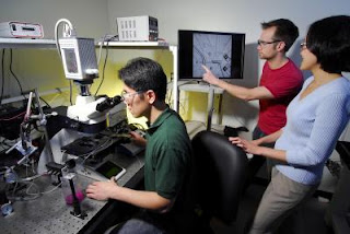 Georgia Tech graduate students Kwanghun Chung and Matthew Crane, and assistant professor Hang Lu