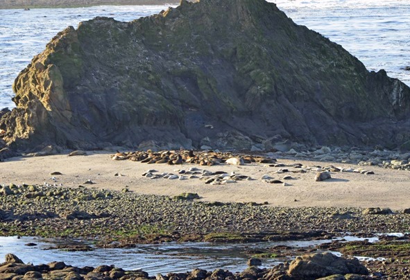 Shell Island