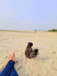 Strand am Ijsselmeer mit Hund