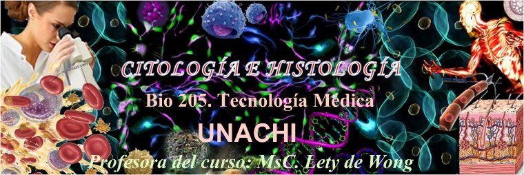 Estudiantes de Tecnología Médica II Año UNACHI 2009