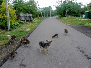 Новогродовка. Донецкая обл. Улицы города