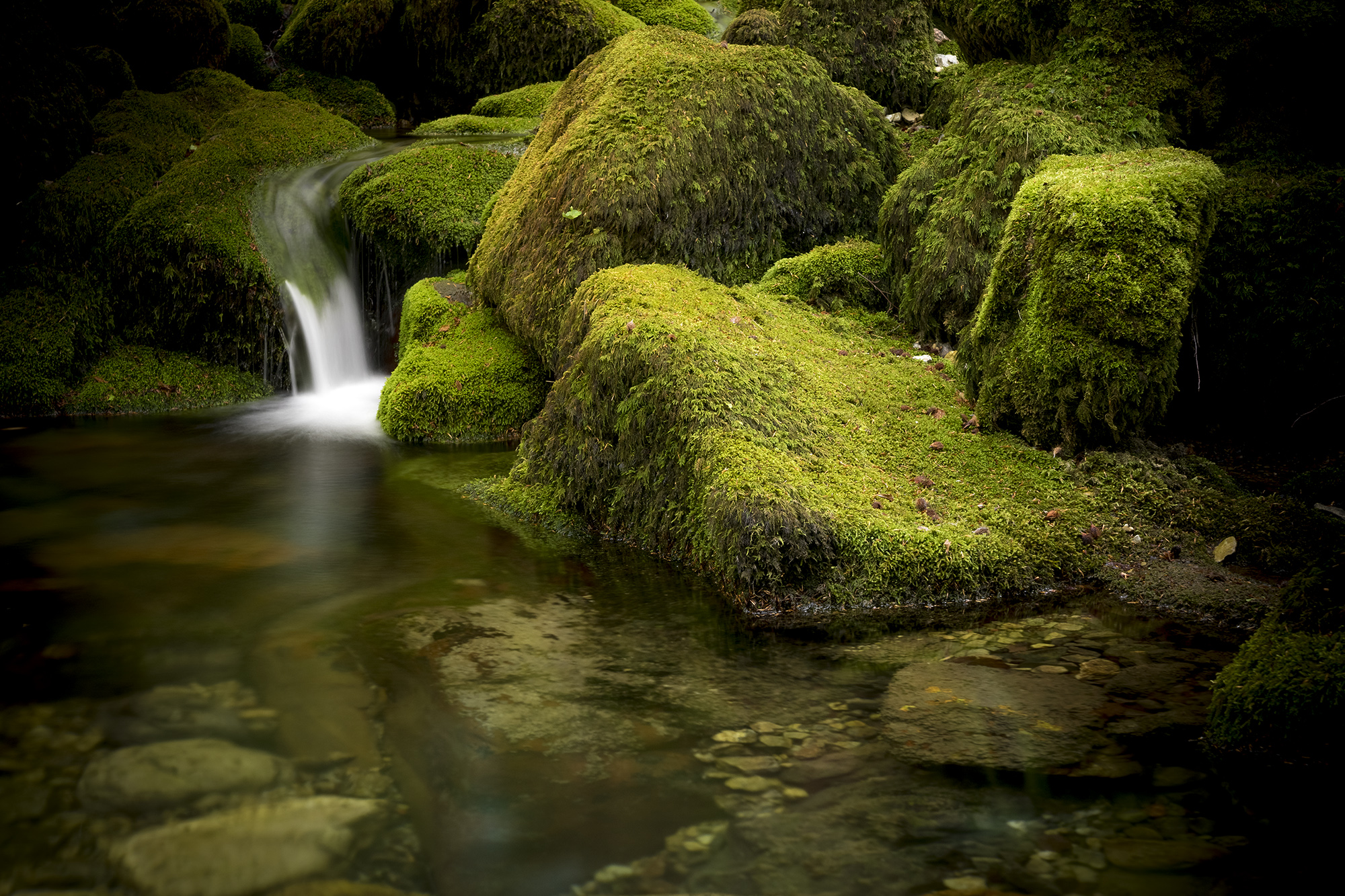 Cascadas en el hayedo de Argovejo Leon España